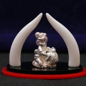 Elephant trunk with beautiful krishna