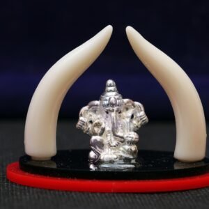 elephant trunk with ganesha
