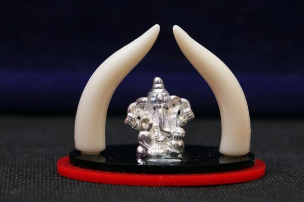 elephant trunk with ganesha